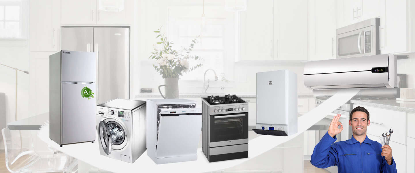 Güroymak Vaillant Servisi
